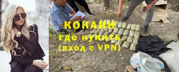 альфа пвп Гусев