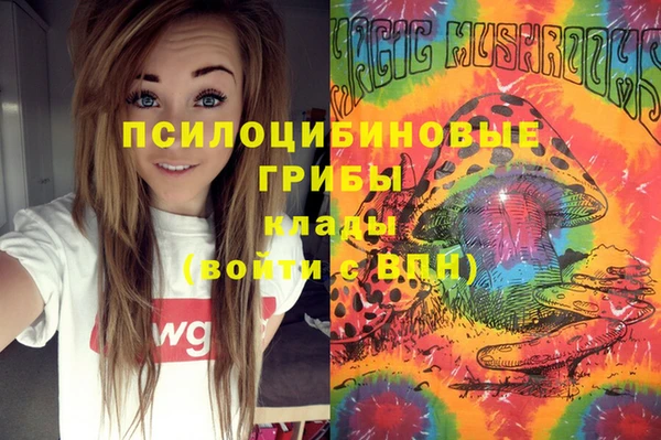 альфа пвп Гусев