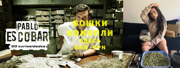 не бодяженный Гусиноозёрск