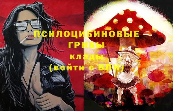 альфа пвп Гусев
