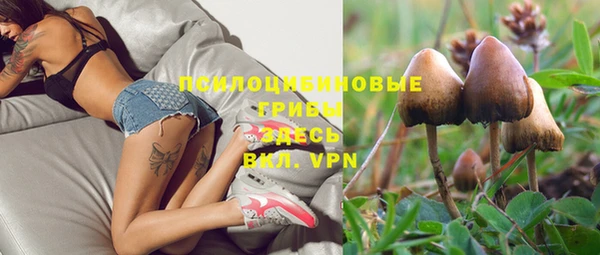 метамфетамин Гусь-Хрустальный