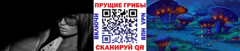 Галлюциногенные грибы Psilocybe  блэк спрут tor  Озёрск 