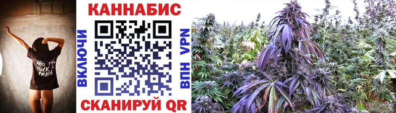 Конопля THC 21%  как найти закладки  кракен зеркало  Озёрск 